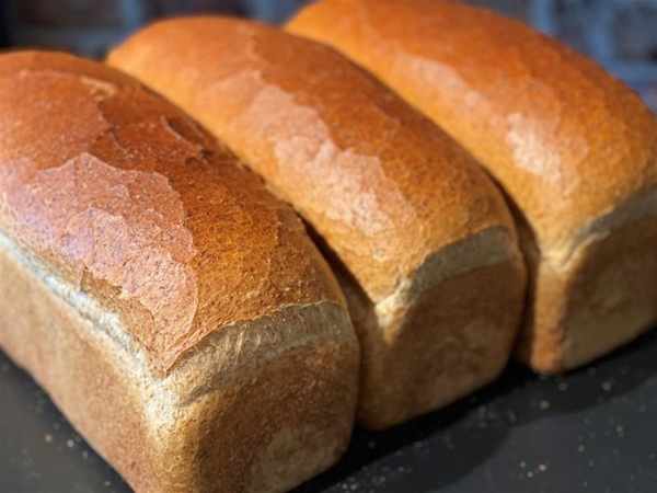 Brood