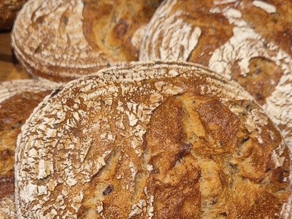 Desem brood